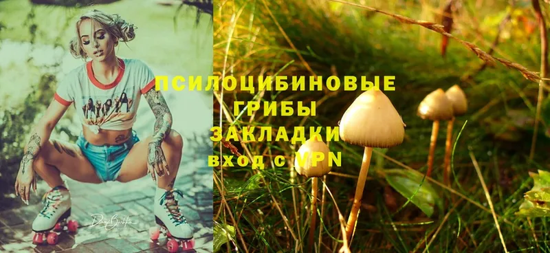 Галлюциногенные грибы Psilocybine cubensis  даркнет состав  ссылка на мегу ссылка  Красноуфимск  купить наркотики сайты 